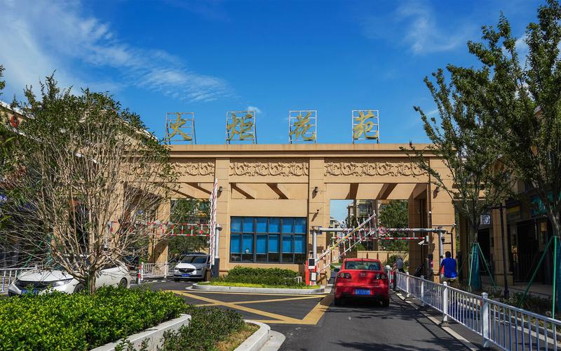 彭场镇党委书记蔡勇军镇域经济当排头城乡融合做示范