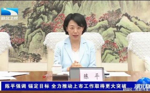 副省长陈平来我市调研体育工作