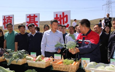 毛嘴镇党委书记陈吉——走在前作示范当排头在聚力支点建设中奋力争先