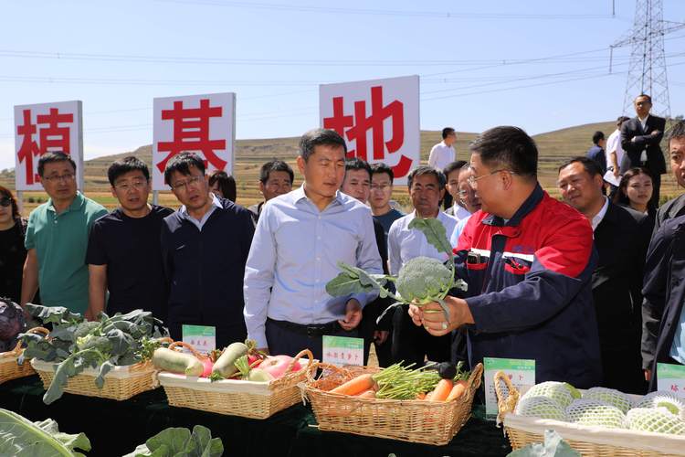 毛嘴镇党委书记陈吉走在前作示范当排头在聚力支点建设中奋力争先