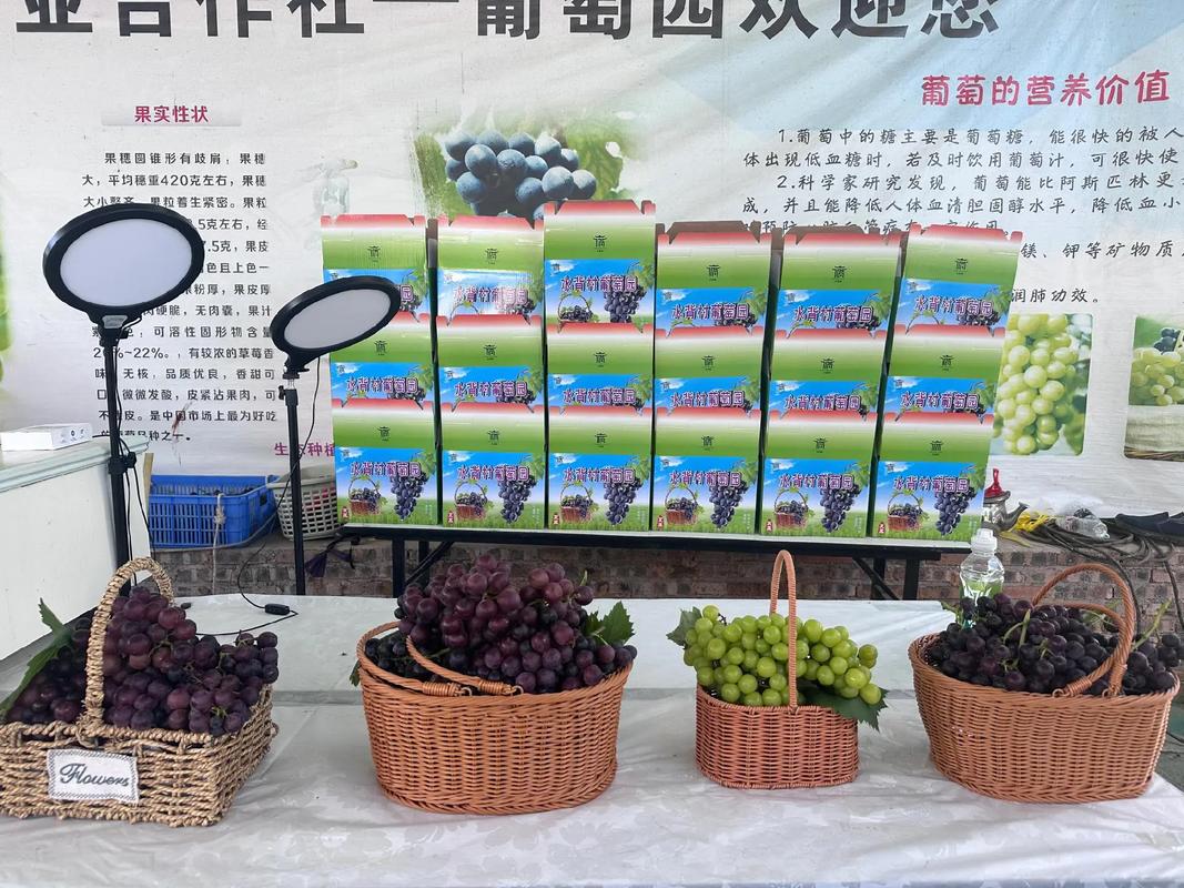 郑场葡萄抢鲜上市