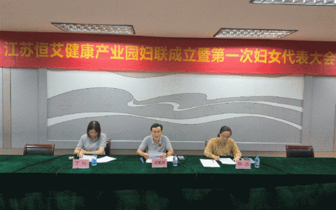 市妇联扎实推进“三新”领域妇联组织建设