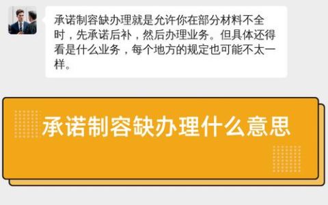 96个事项纳入“容缺事项承诺办”范围