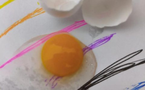 一辈子“死磕”一枚蛋