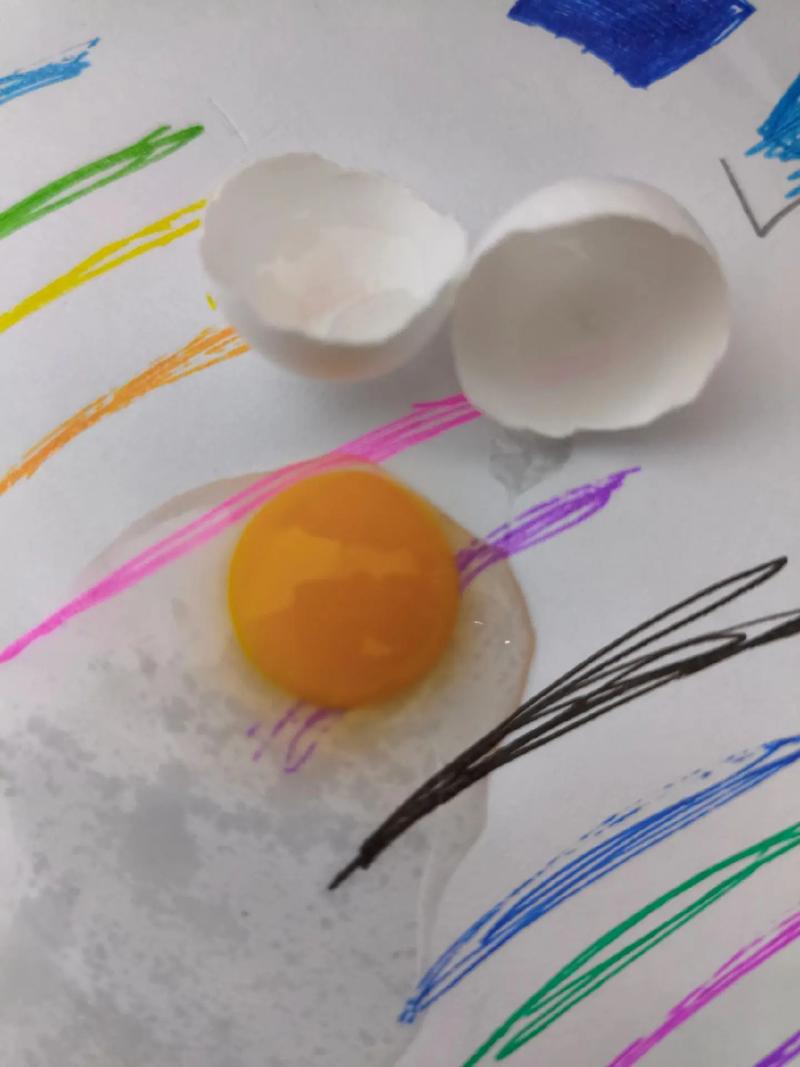 一辈子死磕一枚蛋