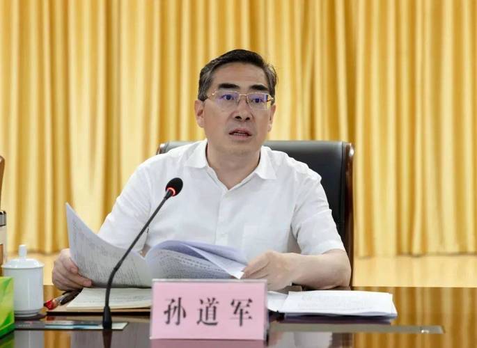 孙道军主持召开专题会议