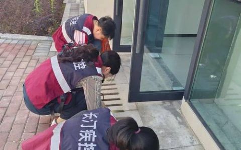 龙华山街道织密“防蚊网” 守护居民健康