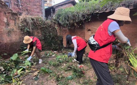 长埫口镇开展防蚊灭蚊爱国卫生运动