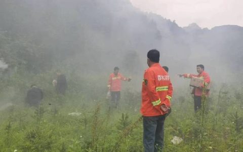 我市集中开展夏季林业有害生物大型防治