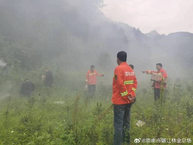 我市集中开展夏季林业有害生物大型防治