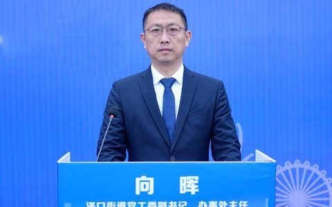 沙湖镇党委书记刘政——服务发展走前列 聚力支点建新功