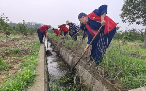 沙湖镇清淤疏渠守护农田“水命脉”