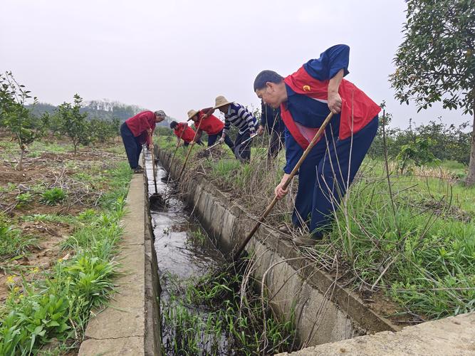 沙湖镇清淤疏渠守护农田水命脉