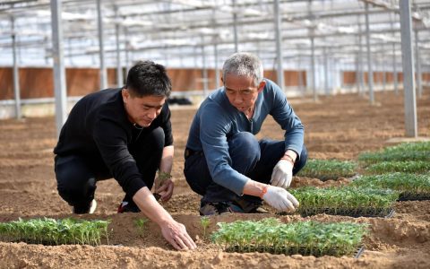 “新农人”播种“兴农梦”——记市劳动模范、仙桃市祥宇种养专业合作社理事长陈树