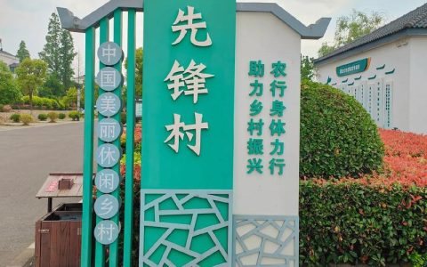 张沟镇在先锋村举办“沔水仙鳝·寻根先锋”民间文化艺术晚会