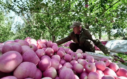 乡村焕新颜村民绽笑颜——记省级担当作为“好支书”郑场镇贾窑村党支部书记潘方兵