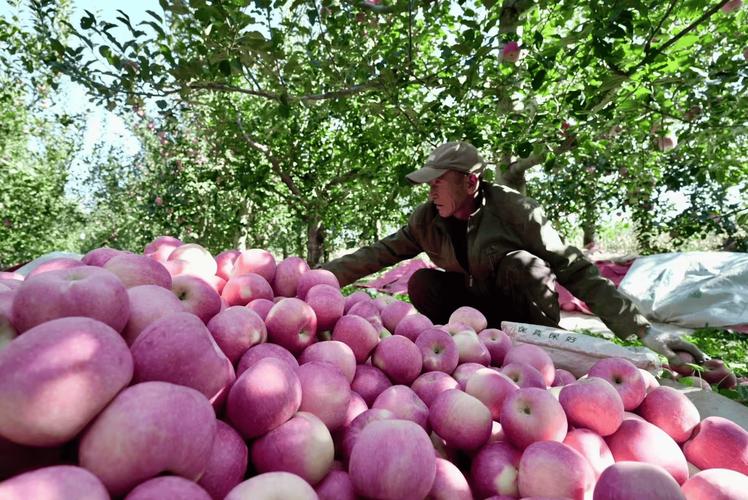乡村焕新颜村民绽笑颜记省级担当作为好支书郑场镇贾窑村党支部书记潘方兵