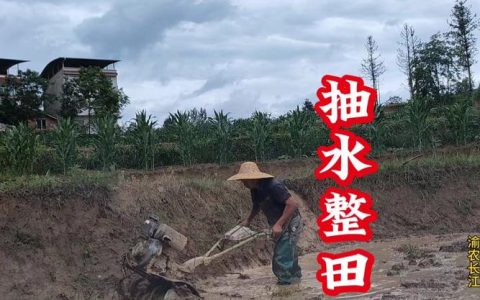 田间地头送“活水”   小微车间添动能