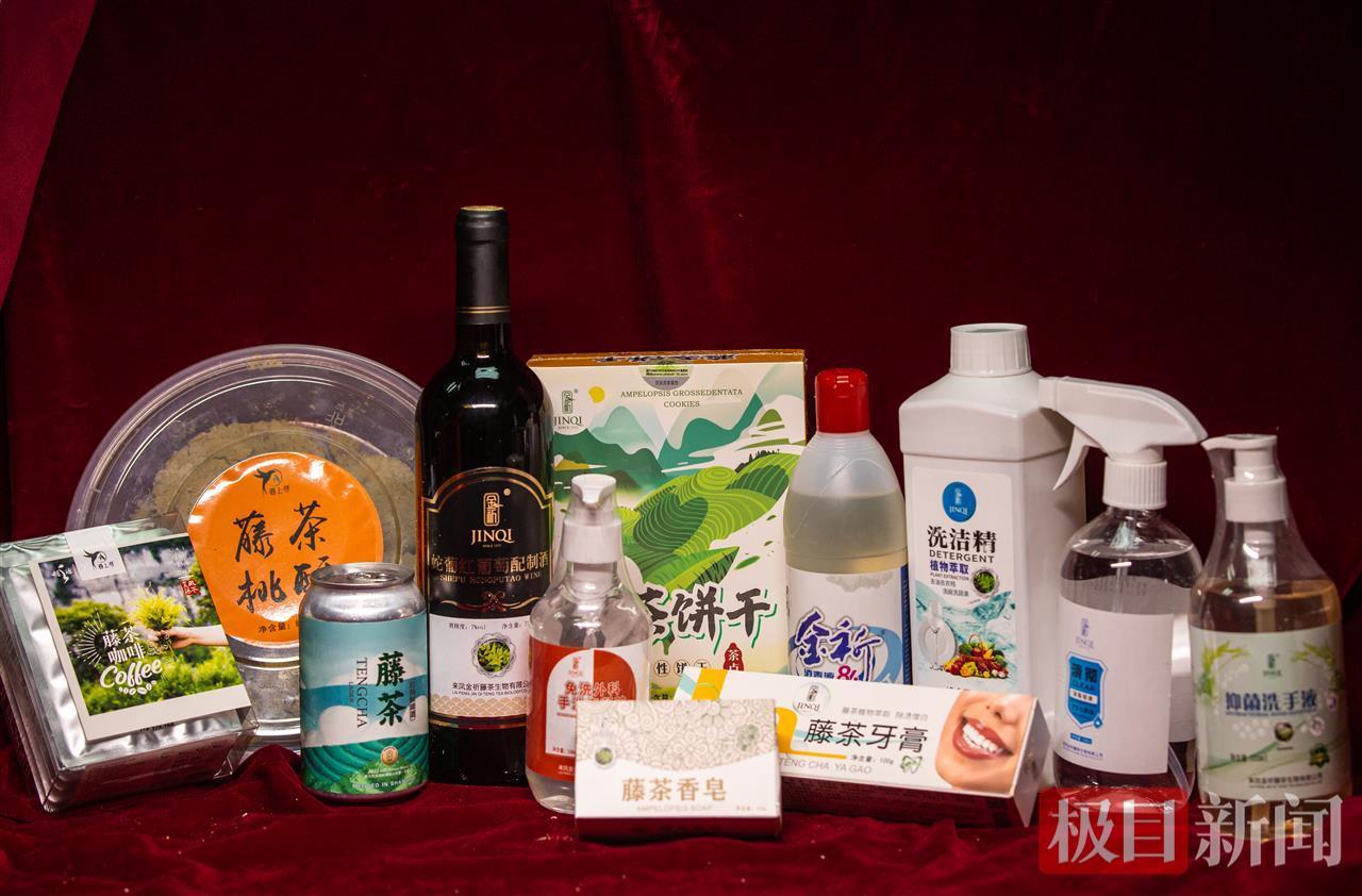 第三届来凤国际藤茶大会丨“养生”路上，年轻人早晚都爱喝的新茶饮来了！