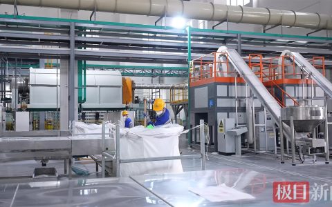 活力中国调研行｜记者手记：荆州稻田边，我看到了全球行业“巨无霸”