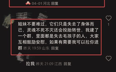 利用主人对宠物的思念，谎称可寻宠物转世 网络“通灵师”的围猎就是一场骗局