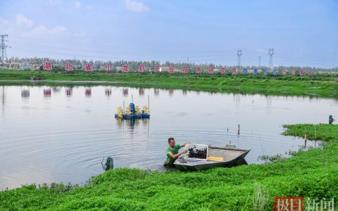 活力中国调研行|潜江鲜虾跃动四季，虾农：以前靠天吃饭，现在四季赚钱