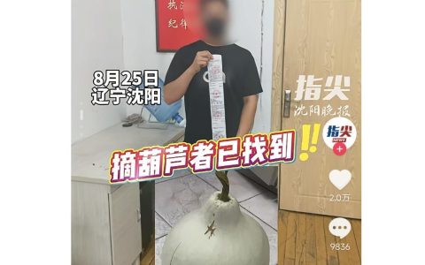 沈阳二环摘葫芦男子婚礼取消，酒店受波及被网友打低分，店方发声