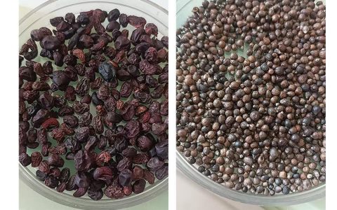 喝了3天网购“中药”头晕恶心，商家称是“正品”，平台已下架涉事店铺