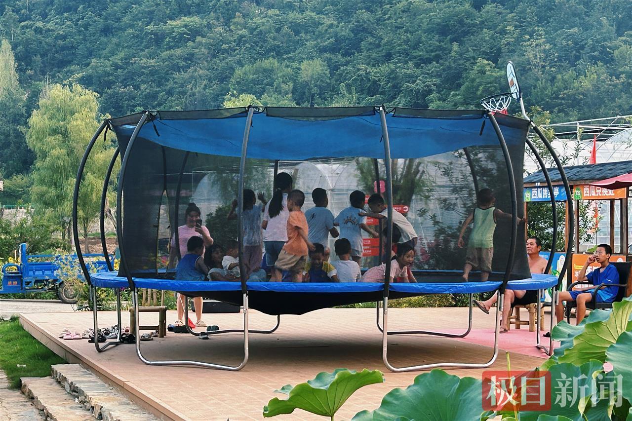 赏花、采摘、遛娃一站搞定，郧西新添休闲旅游好去处