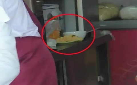 餐馆将两盘吃剩的炒饭回收并混合，顾客怀疑其重新售卖，市监：未发现证据，已令商家停业整改卫生