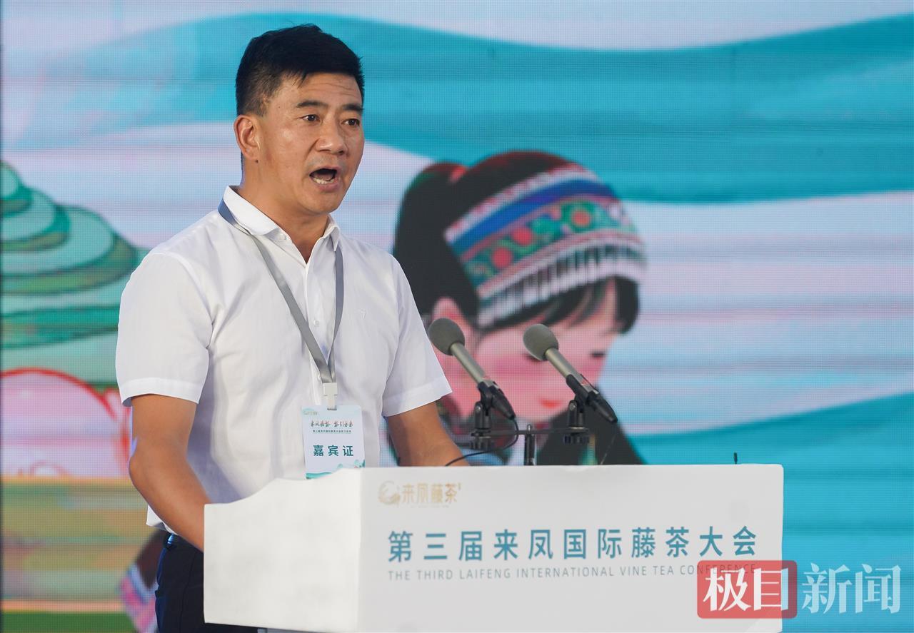 璀璨灯光辉映两江四岸 土家神茶香溢英雄之城——第三届来凤国际藤茶大会武汉会场盛大启幕
