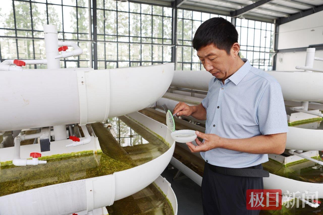 活力中国调研行|潜江鲜虾跃动四季，虾农：以前靠天吃饭，现在四季赚钱