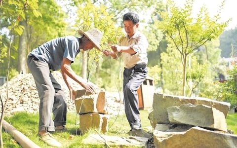 一把扫帚和一份执着 退休局长坚守17载“扫”出和美乡村