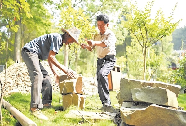 一把扫帚和一份执着 退休局长坚守17载“扫”出和美乡村