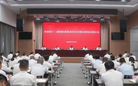 省委第十二巡视组向武汉长江新区党工委反馈巡视情况