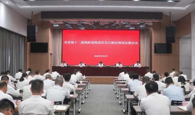 省委第十二巡视组向武汉长江新区党工委反馈巡视情况