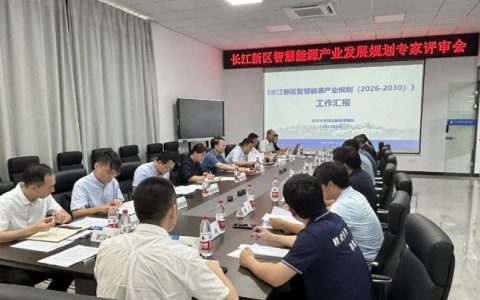 擘画 “武汉能谷” 蓝图——《长江新区智慧能源产业发展规划》专家评审会顺利召开