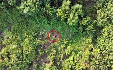 无人机热成像锁定走失老人 患有老年痴呆症的爹爹走失23小时后获救