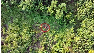 无人机热成像锁定走失老人 患有老年痴呆症的爹爹走失23小时后获救