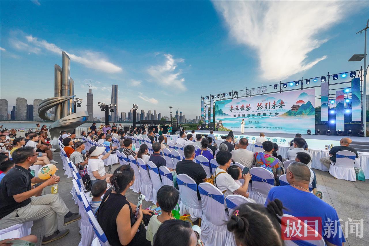 璀璨灯光辉映两江四岸 土家神茶香溢英雄之城——第三届来凤国际藤茶大会武汉会场盛大启幕
