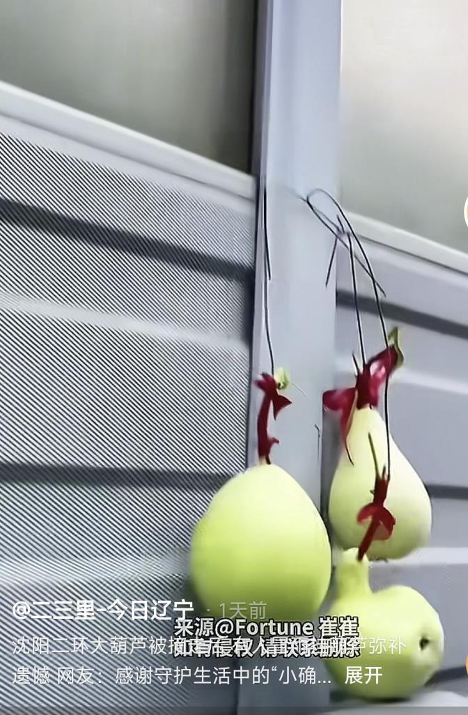 沈阳二环摘葫芦男子婚礼取消，酒店受波及被网友打低分，店方发声