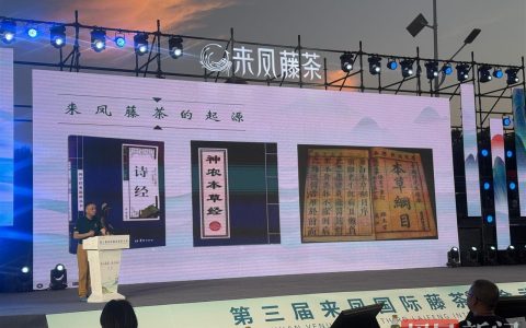 第三届来凤国际藤茶大会丨纳入医保！湖北中医药大学专家点赞来凤“长寿茶”