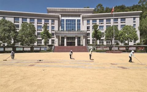 重庆一镇政府开放大院供村民晒谷 村民随时都能来晒  还提供纳凉点和饮用水