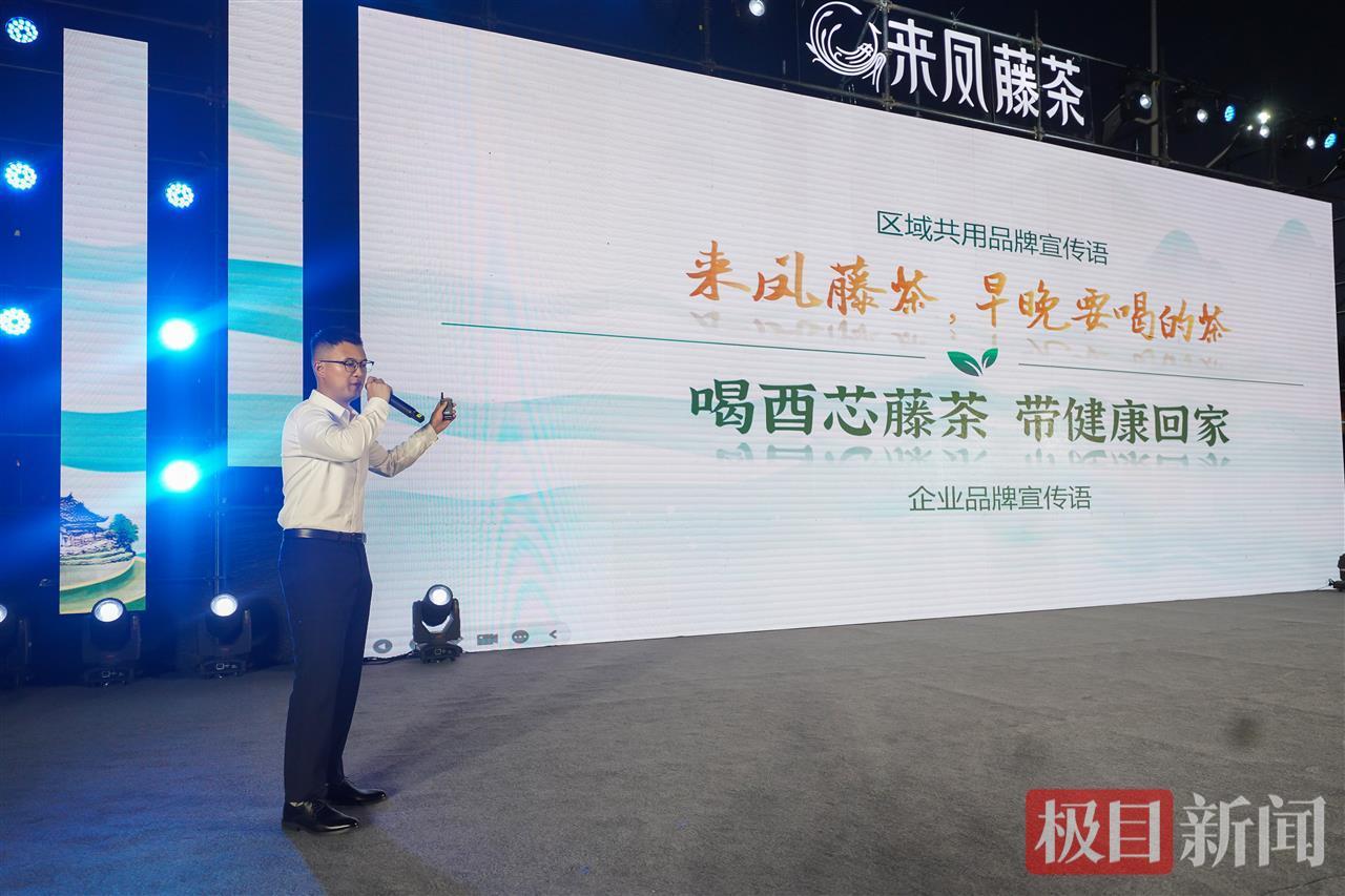 璀璨灯光辉映两江四岸 土家神茶香溢英雄之城——第三届来凤国际藤茶大会武汉会场盛大启幕