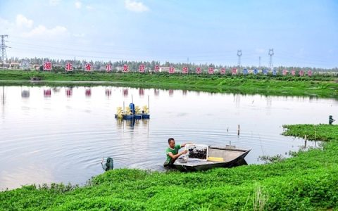“原来养虾赚半年闲半年，现在养虾四季有钱赚” 技术革新让潜江虾农钱包鼓起来了