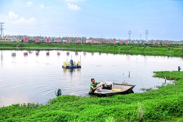 “原来养虾赚半年闲半年，现在养虾四季有钱赚” 技术革新让潜江虾农钱包鼓起来了