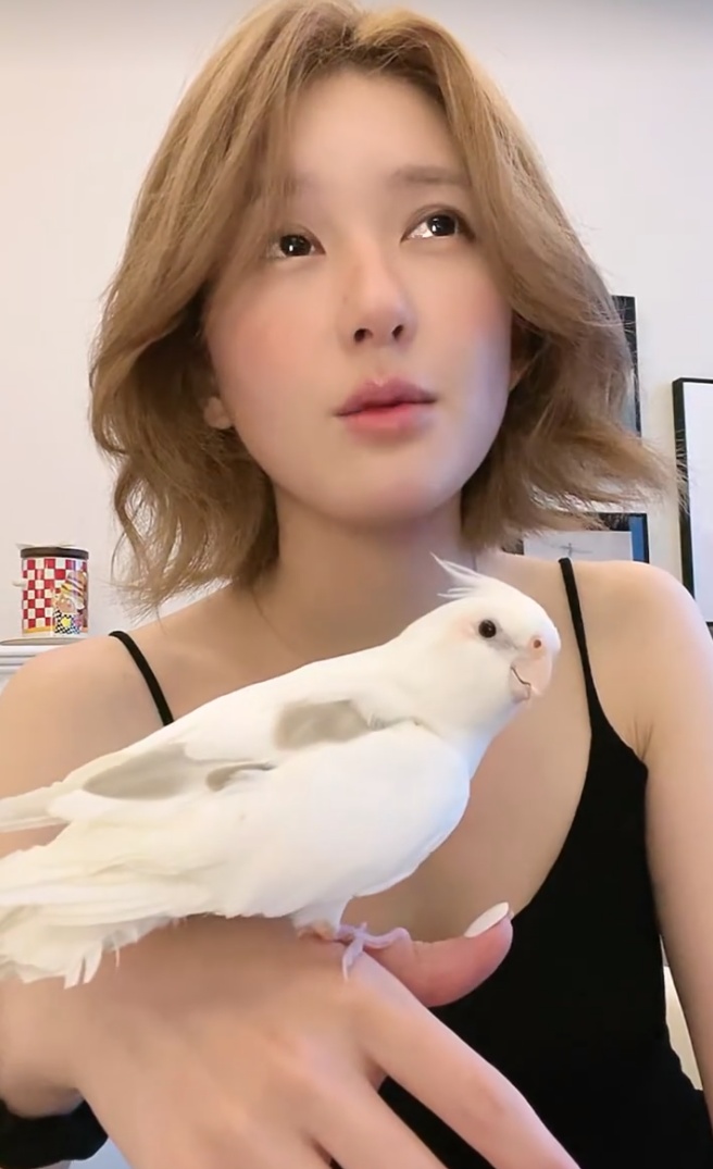 赵露思控诉经纪公司“不给看病，给我驱魔”！自曝被合伙人起诉，以后不会再开甜品店