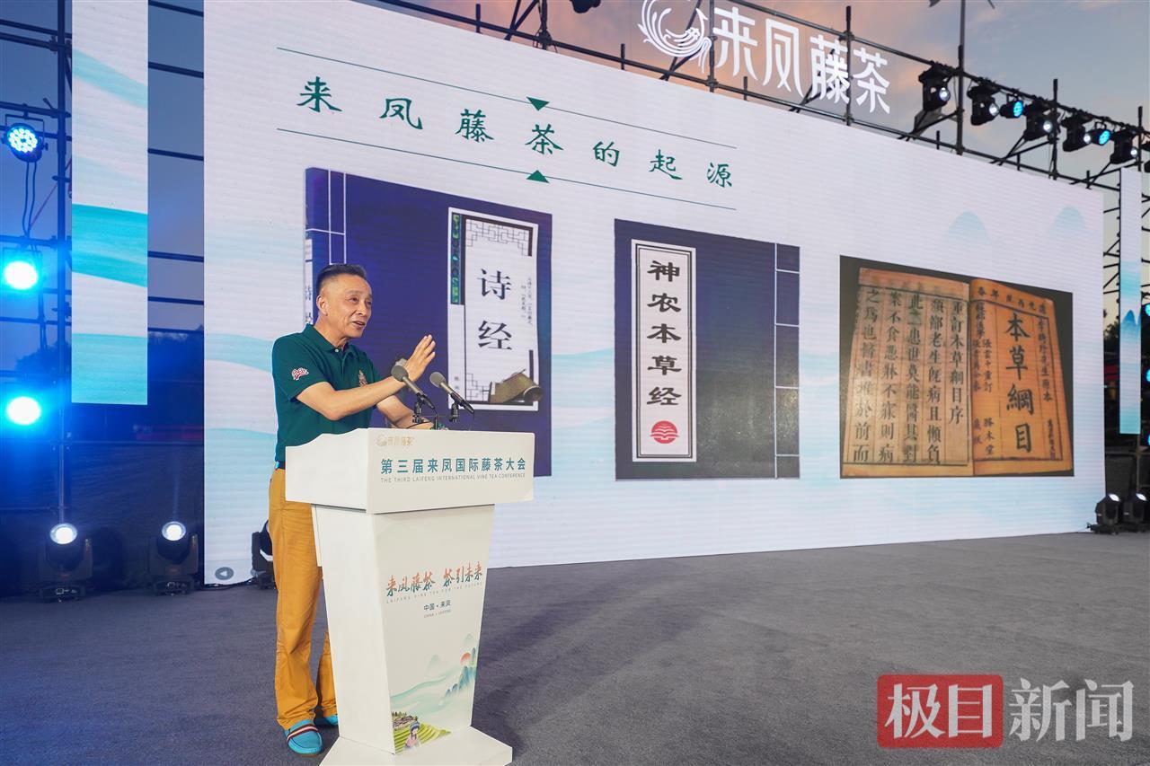 璀璨灯光辉映两江四岸 土家神茶香溢英雄之城——第三届来凤国际藤茶大会武汉会场盛大启幕