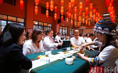 品藤茶喝油茶汤赏非遗，国际友人体验中华茶道千年雅韵