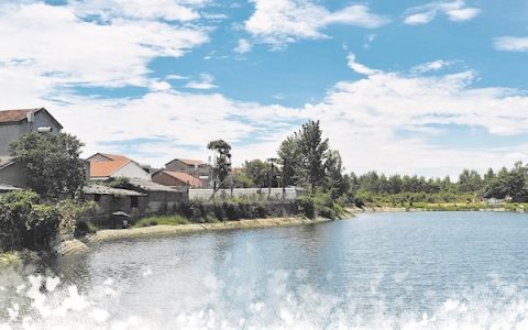 从捂鼻绕行到塘边垂钓 武汉139条农村黑臭水体年底“清”仓